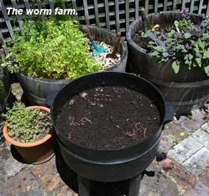 sustainable practices - worm farm